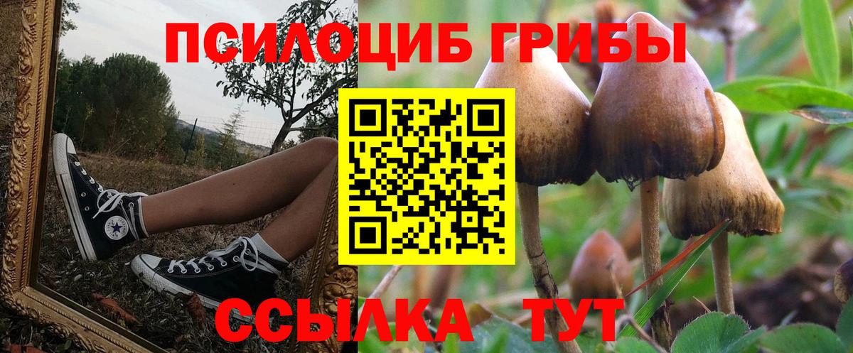 наркотики  Вход с VPN  Карталы  Псилоцибиновые грибы ЛСД 