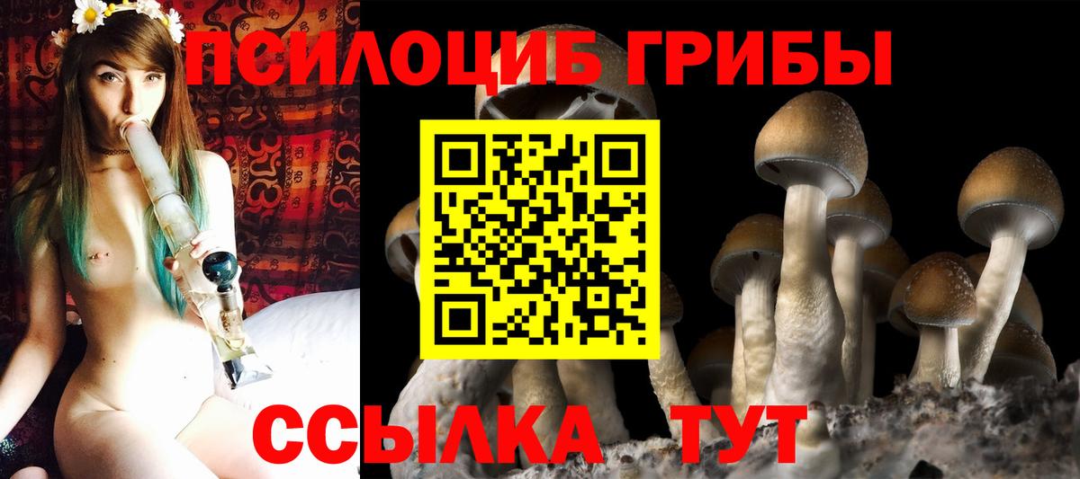 Псилоцибиновые грибы GOLDEN TEACHER Карталы